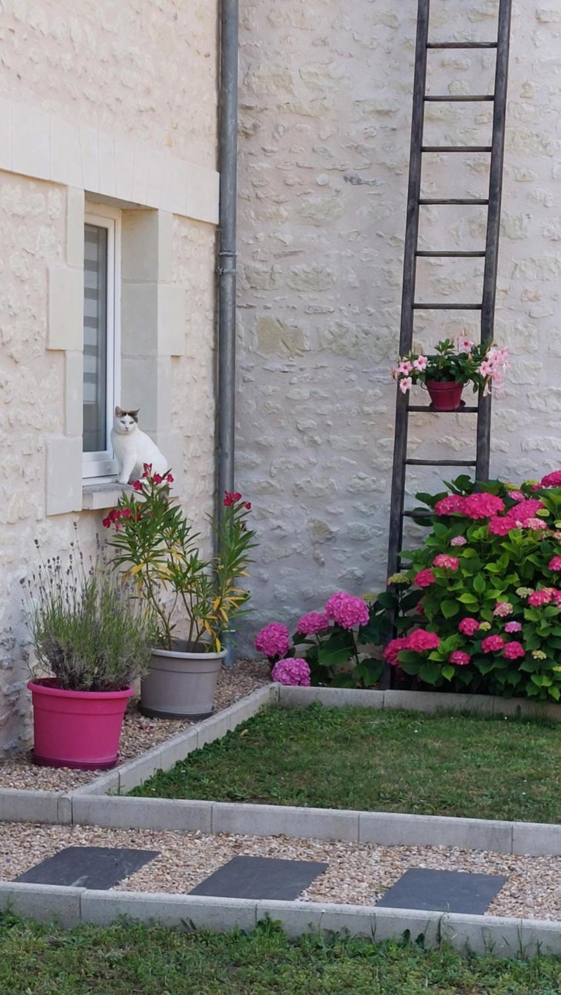 Saint-Genest-d'Ambiere Gite Amanala Poitou מראה חיצוני תמונה